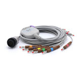 For  Kenz 10 Leads Wires AHA Banana Cardioline EKG Cable 16 male pin 4.0mm