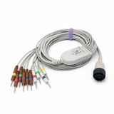 For Kenz EKG Cable 10 LeadWires 9.8 ft IEC European Standard Needle 3.0mm